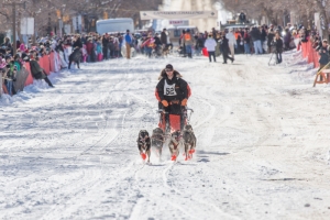 CANADIAN CHALLENGE INTERNATIONAL SLED DOG RACE 2014