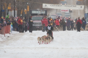 CANADIAN CHALLENGE INTERNATIONAL SLED DOG RACE 2015
