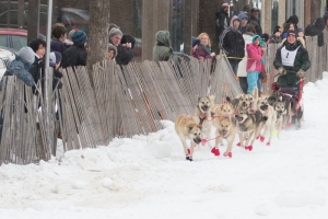 CANADIAN CHALLENGE INTERNATIONAL SLED DOG RACE 2015