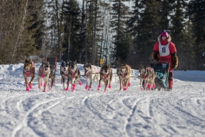 CANADIAN CHALLENGE INTERNATIONAL SLED DOG RACE 2018
