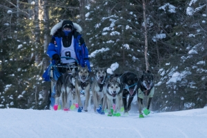 CANADIAN CHALLENGE INTERNATIONAL SLED DOG RACE 2018
