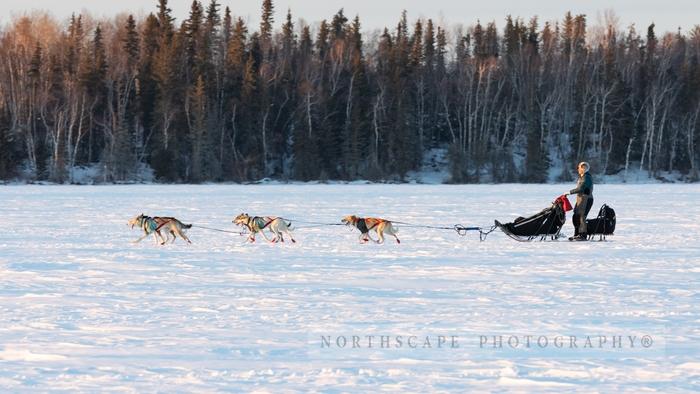 Canadian Challenge International Dog Sled Race 2020;Clayton Perry