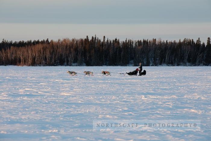 Canadian Challenge International Dog Sled Race 2020;Clayton Perry