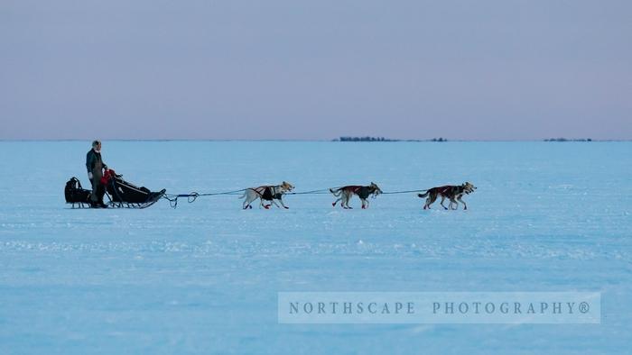 Canadian Challenge International Dog Sled Race 2020;Clayton Perry