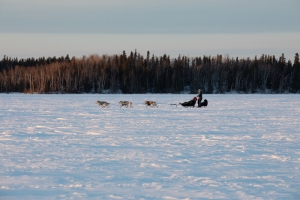 CANADIAN CHALLENGE INTERNATIONAL SLED DOG RACE 2020