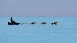 Canadian-Challenge-International-Dog-Sled-Race-2020;Clayton-Perry