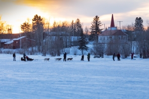 Canadian-Challenge-International-Dog-Sled-Race-2020;Clayton-Perry