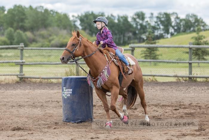 Porcupine Plain Rodeo 2017