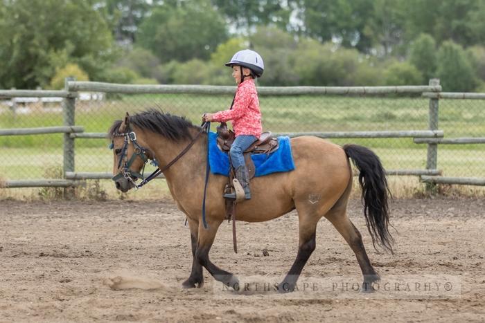 Porcupine Plain Rodeo 2017