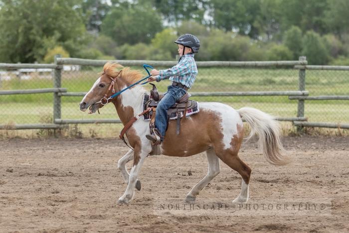 Porcupine Plain Rodeo 2017