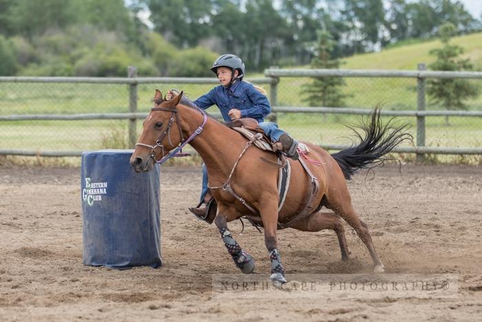 Porcupine Plain Rodeo 2017