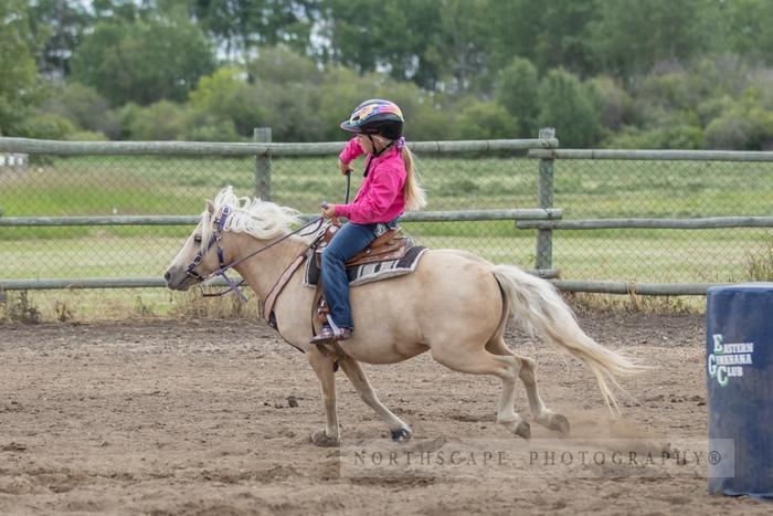 Porcupine Plain Rodeo 2017