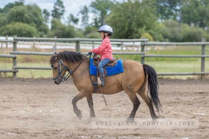 Porcupine Plain Rodeo 2017