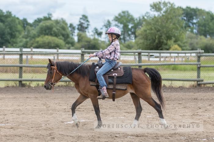 Porcupine Plain Rodeo 2017