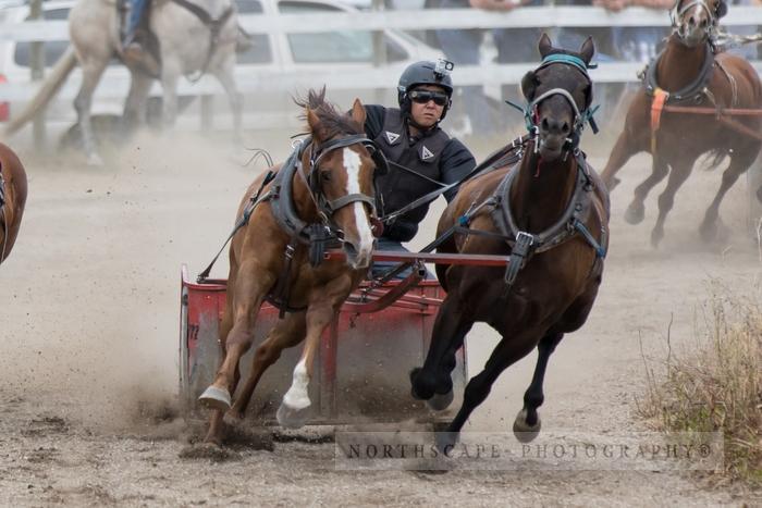 Porcupine Plain Rodeo 2017