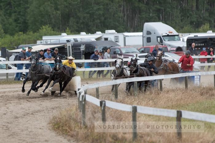 Porcupine Plain Rodeo 2017