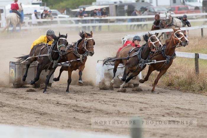 Porcupine Plain Rodeo 2017