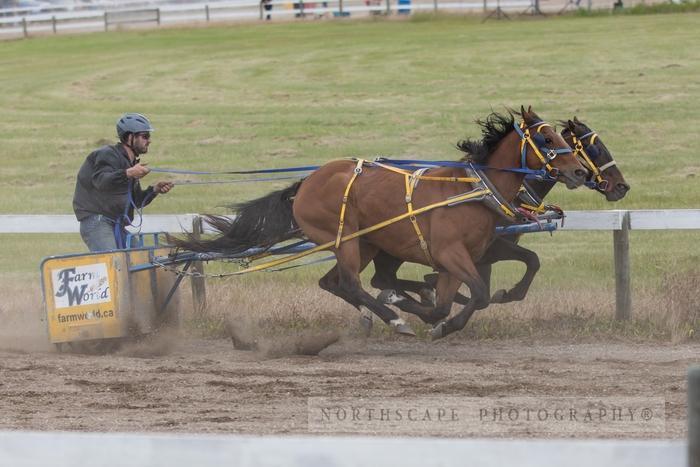 Porcupine Plain Rodeo 2017