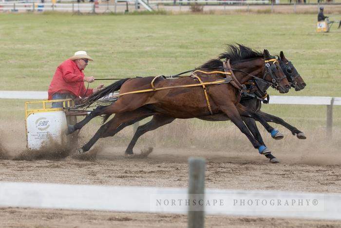 Porcupine Plain Rodeo 2017