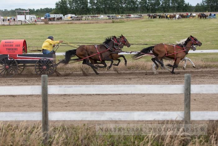 Porcupine Plain Rodeo 2017