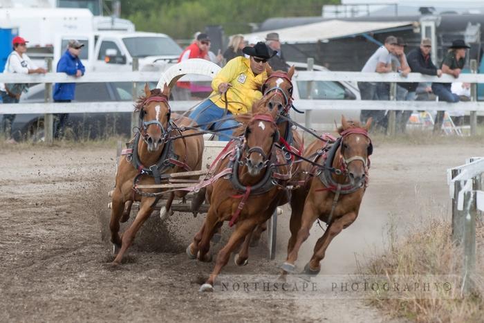 Porcupine Plain Rodeo 2017