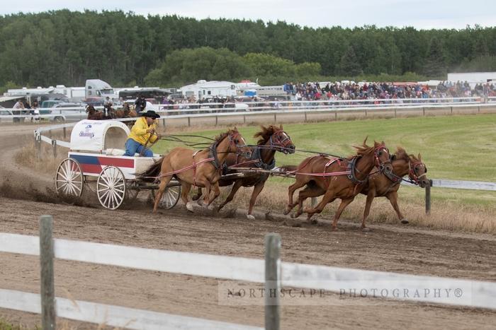 Porcupine Plain Rodeo 2017