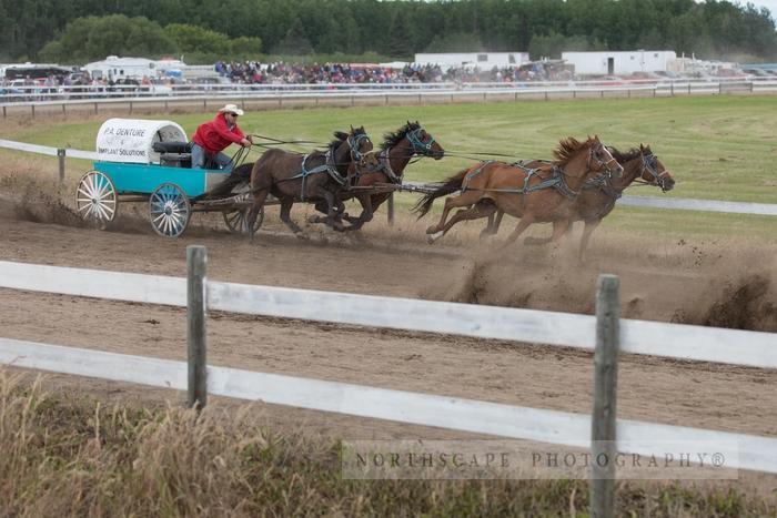 Porcupine Plain Rodeo 2017