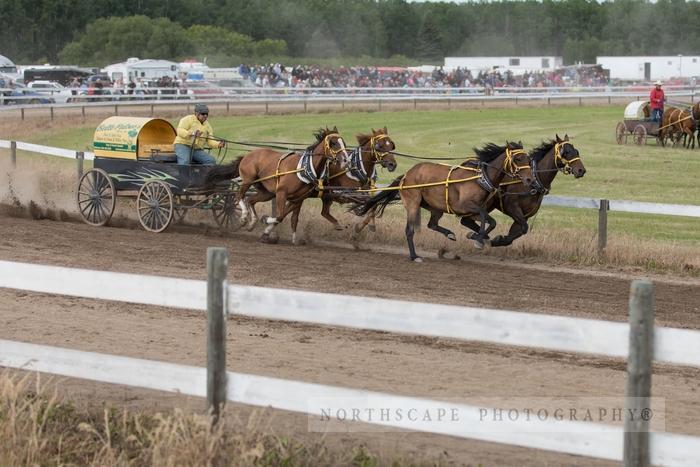 Porcupine Plain Rodeo 2017