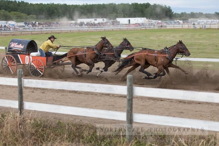 Porcupine Plain Rodeo 2017