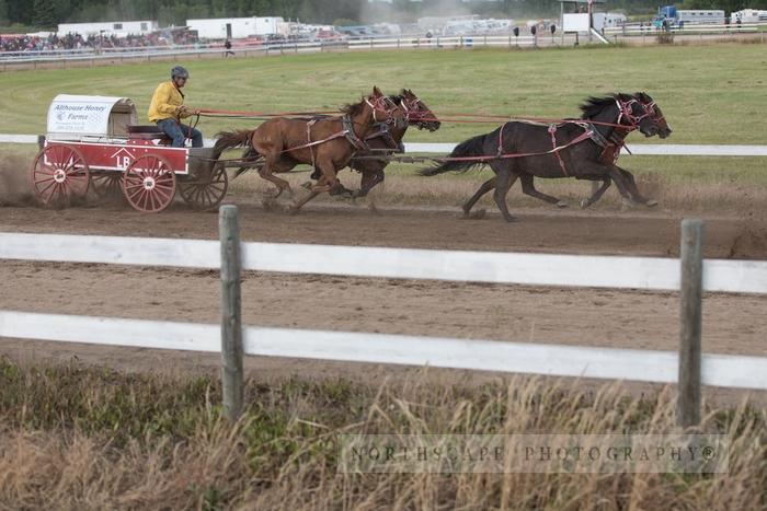 Porcupine Plain Rodeo 2017