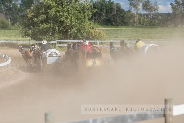 Porcupine Plain Rodeo 2017