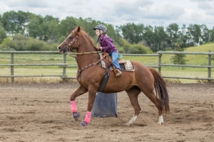 Porcupine-Plain-Rodeo-2017