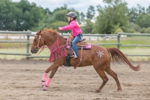 Porcupine-Plain-Rodeo-2017