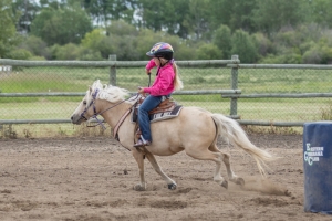 Porcupine-Plain-Rodeo-2017