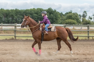 Porcupine-Plain-Rodeo-2017