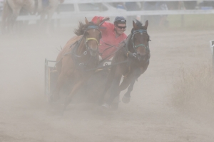 Porcupine-Plain-Rodeo-2017