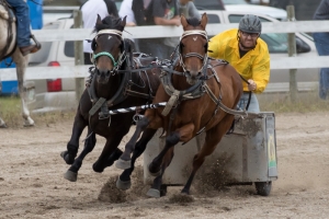 Porcupine-Plain-Rodeo-2017