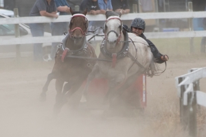 Porcupine-Plain-Rodeo-2017