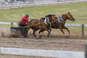 Porcupine-Plain-Rodeo-2017