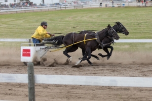 Porcupine-Plain-Rodeo-2017