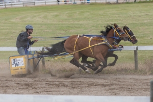 Porcupine-Plain-Rodeo-2017