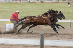 Porcupine-Plain-Rodeo-2017