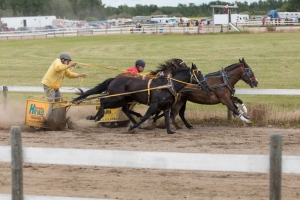 Porcupine-Plain-Rodeo-2017