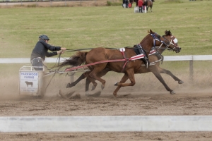 Porcupine-Plain-Rodeo-2017