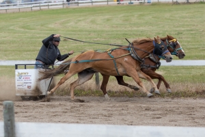 Porcupine-Plain-Rodeo-2017