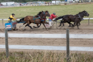 Porcupine-Plain-Rodeo-2017