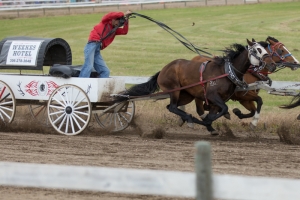 Porcupine-Plain-Rodeo-2017