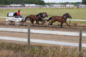 Porcupine-Plain-Rodeo-2017