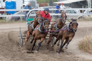 Porcupine-Plain-Rodeo-2017