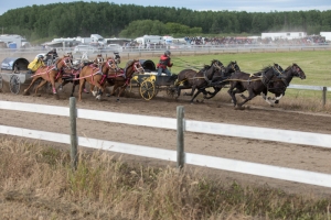 Porcupine-Plain-Rodeo-2017